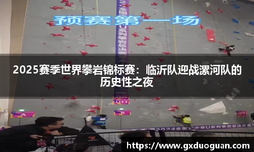 2025赛季世界攀岩锦标赛：临沂队迎战漯河队的历史性之夜